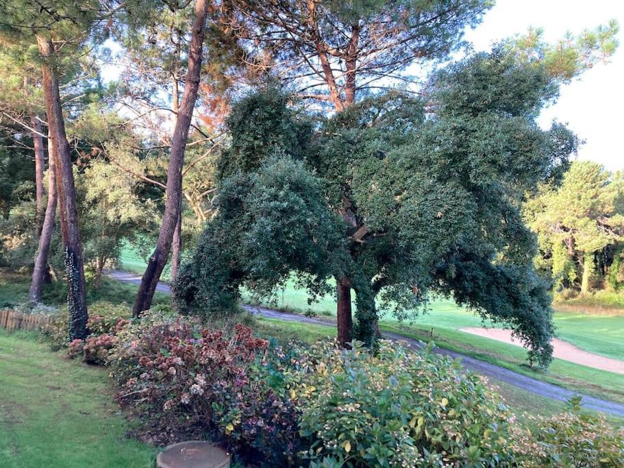 Vue Golf Dans Residence Nature "Sympalappart" Мольетс-е-Маа Екстериор снимка